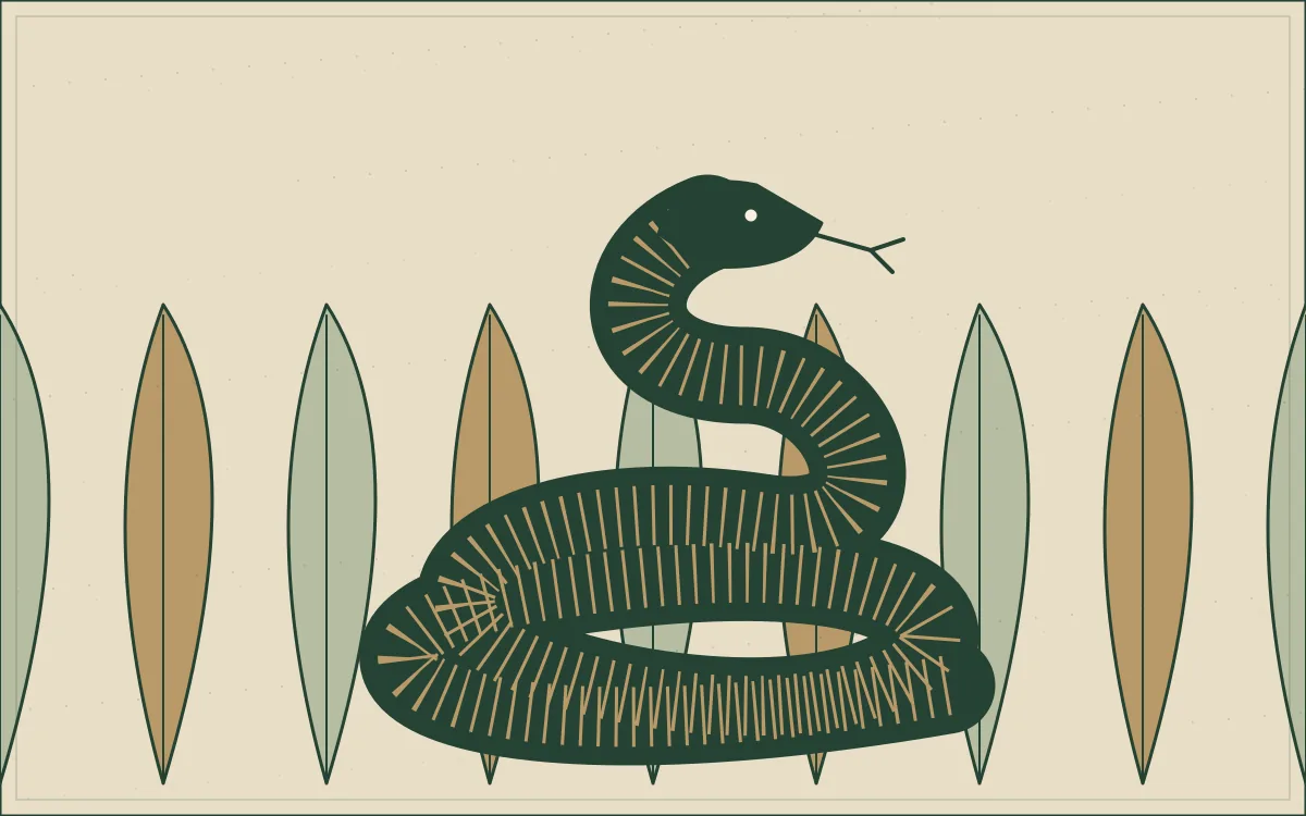 Ilustração original de uma serpente enrolada entre folhas.